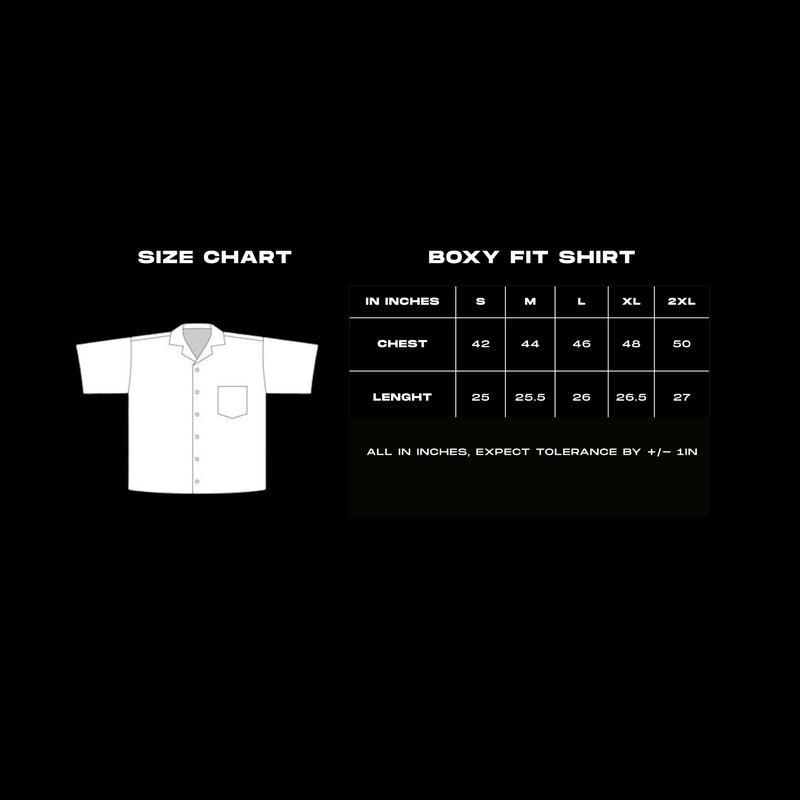 Red Picnic Oxford Boxy Shirt