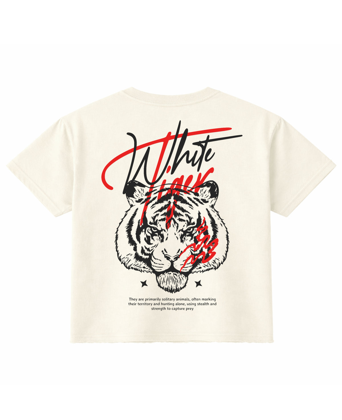 Off White Boxy Fit T-shirt Back Design